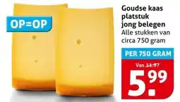 Hoogvliet Goudse kaas platstuk jong belegen aanbieding