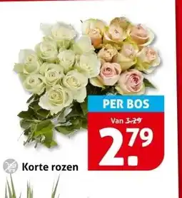 Hoogvliet Korte rozen aanbieding