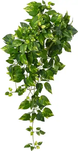 Intratuin Intratuin kunsthangplant Drakenklimop geelbont 15 x 30 x 90 cm aanbieding