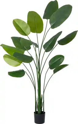 Intratuin Intratuin kunstplant Calathea D 17,8 H 220 cm aanbieding