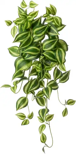Intratuin Intratuin kunsthangplant Vaderplant groen 15 x 6 x 60 cm aanbieding