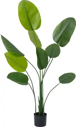 Intratuin Intratuin kunstplant Calathea D 15,2 H 160 cm aanbieding