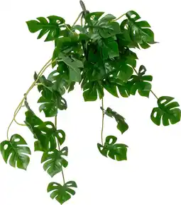 Intratuin Intratuin kunsthangplant Gatenplant groen 18 x 21 x 70 cm aanbieding