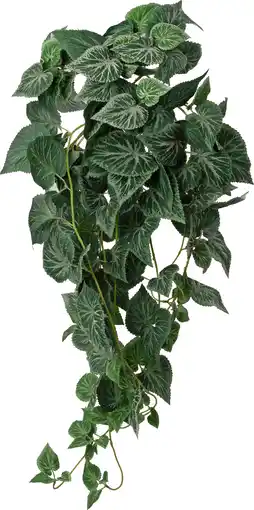 Intratuin Intratuin kunsthangplant Bladbegonia groen 15 x 30 x 90 cm aanbieding