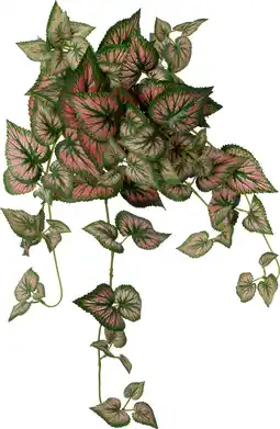 Intratuin Intratuin kunsthangplant Bladbegonia rood groen 10 x 22 x 60 cm aanbieding