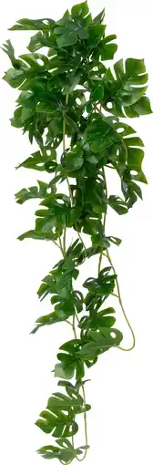 Intratuin Intratuin kunsthangplant Gatenplant groen 19 x 20 x 92 cm aanbieding