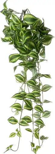 Intratuin Intratuin kunsthangplant Vaderplant groen 25 x 10 x 100 cm aanbieding