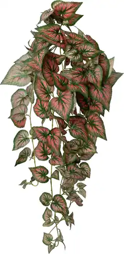 Intratuin Intratuin kunsthangplant Bladbegonia rood groen 15 x 30 x 90 cm aanbieding