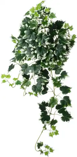 Intratuin Intratuin kunsthangplant Klimop witbont 15 x 6 x 60 cm aanbieding