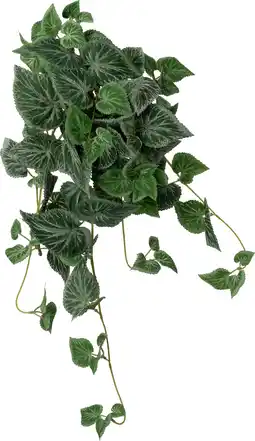Intratuin Intratuin kunsthangplant Bladbegonia groen 10 x 22 x 60 cm aanbieding
