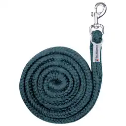 Pets Place Waldhausen Halstertouw Economic - Paardenhalsterlijn - 2 m Petrol aanbieding