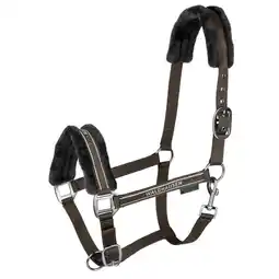 Pets Place Waldhausen Halster Elegant - Paardenhalster - Groen Volbloed aanbieding