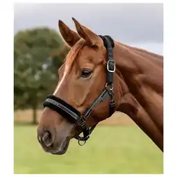 Pets Place Waldhausen Halster Elegant - Paardenhalster - Zwart Pony aanbieding