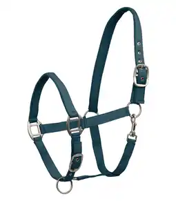 Pets Place Waldhausen Perlon Halster Satin - Paardenhalster - Petrol Pony aanbieding