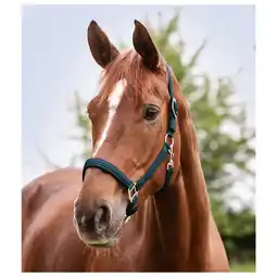 Pets Place Waldhausen Perlon Halster Satin - Paardenhalster - Petrol Pony aanbieding