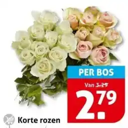 Hoogvliet Korte rozen aanbieding