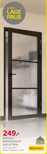 Praxis Sencys Binnendeur Industrial aanbieding