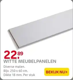 Praxis Witte Meubelpanelen aanbieding