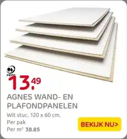 Praxis Agnes Wand en Plafondpanelen aanbieding