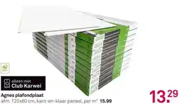 Karwei Agnes plafondplaat aanbieding