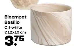 Kwantum Bloempot Basilio aanbieding