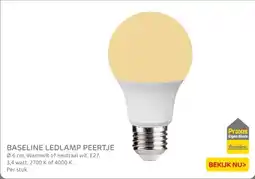 Praxis Baseline ledlamp peertje aanbieding