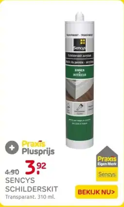 Praxis Sencys schilderskit aanbieding