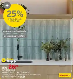 Praxis Wandtegel Deco Lingot aanbieding