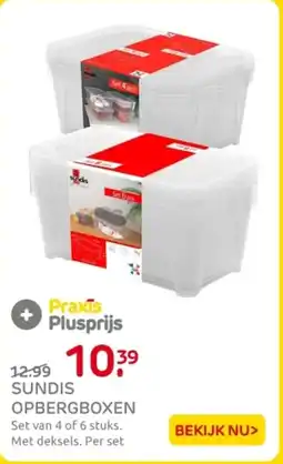 Praxis Sundis Opbergboxen aanbieding