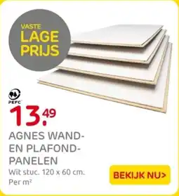 Praxis Agnes Wand en Plafondpanelen aanbieding