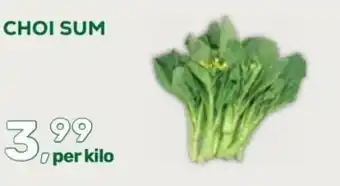 Amazing Oriëntal Choi sum aanbieding
