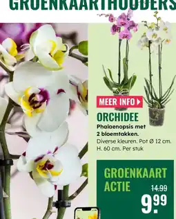 GroenRijk Orchidee aanbieding