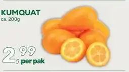Amazing Oriëntal Kumquat aanbieding