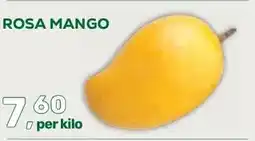 Amazing Oriëntal ROSA MANGO aanbieding