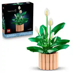 Intertoys LEGO Botanicals lepelplant 11504 aanbieding