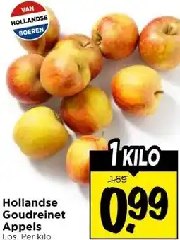 Vomar Voordeelmarkt Hollandse Goudreinet Appels aanbieding