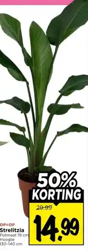 Vomar Voordeelmarkt Strelitzia aanbieding