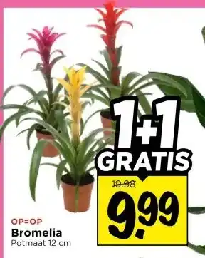 Vomar Voordeelmarkt Bromelia aanbieding