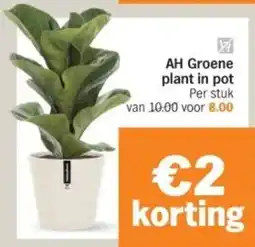 Albert Heijn AH Groene plant in pot aanbieding