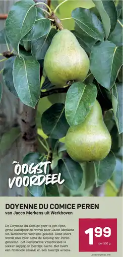 Ekoplaza Doyenne du comice peren aanbieding