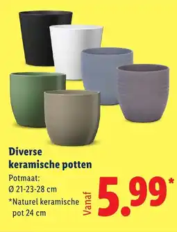 Lidl Diverse keramische potten aanbieding