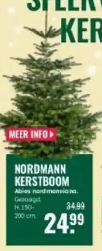 GroenRijk Nordmann Kerstboom aanbieding