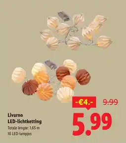 Lidl Livarno LED-lichtketting aanbieding