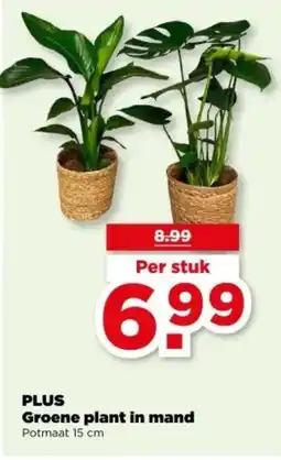 PLUS PLUS Groene plant in mand aanbieding