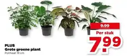 PLUS PLUS Grote groene plant aanbieding