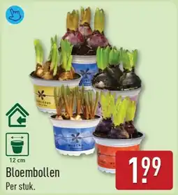 ALDI Bloembollen aanbieding
