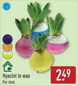 ALDI Hyacint in wax aanbieding