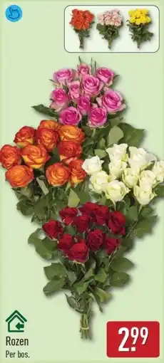 ALDI Rozen aanbieding