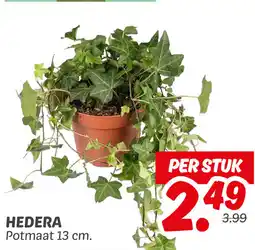 Dekamarkt Hedera aanbieding