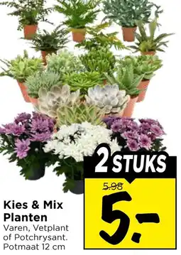 Vomar Voordeelmarkt Kies & Mix Planten aanbieding